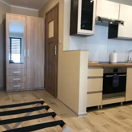 Alicja Дзержонюв